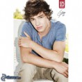 /album/liam-payne/liam-payne-one-direction-153290-jpg/