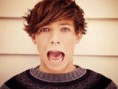 /album/galerie-de-photos-louis-tomlinson/images201qy1o1-jpg/